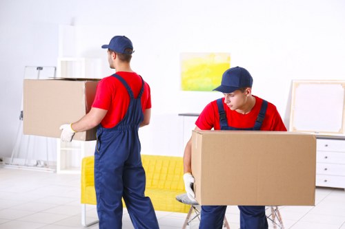 Illustration of cookie consent on a removals service website